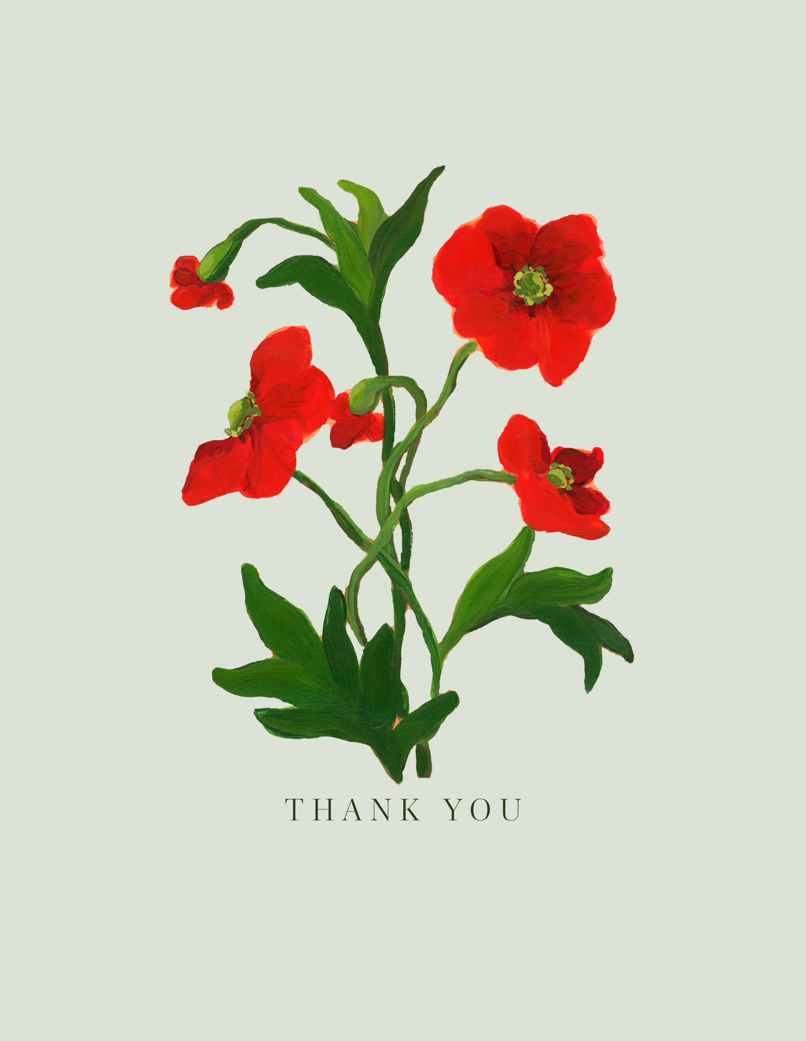 Thank You Card Bundle (Set of 4)